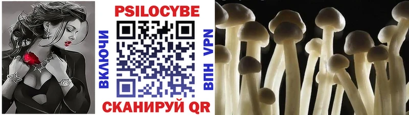 Псилоцибиновые грибы прущие грибы  Купить закладки  Камень-на-Оби 